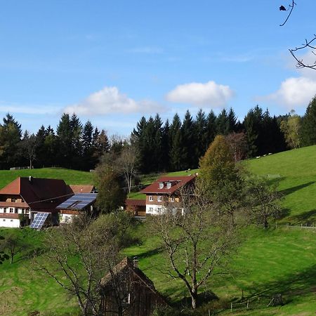 Berghansenhof Wolfach Exterior foto